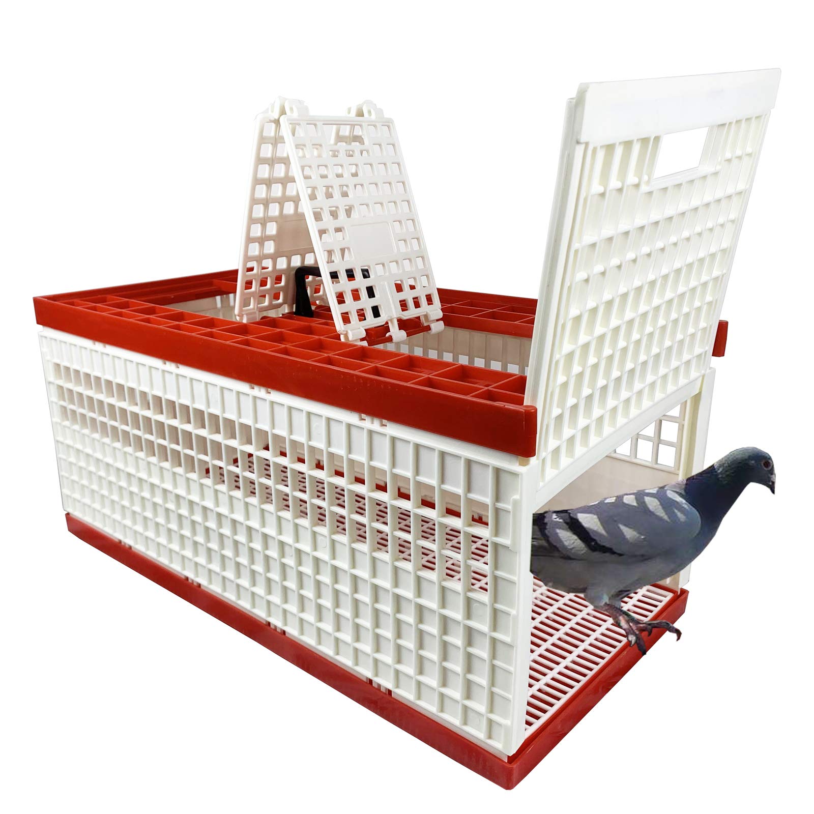 Photo 1 of Plastic Pigeon cage Portable Foldable Plastic Transportation Poultry Transportation Bird cage Hunting cage Coop 24×12×9in Chicken cage Red