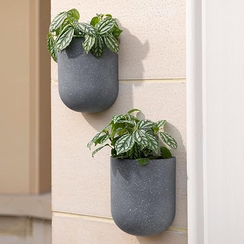 Miniatura 5 de LA JOLIE MUSE Macetas colgantes de pared para plantas de interior, macetas colgantes para plantas de aire suculentas, juego de 2, 6 pulgadas, gris