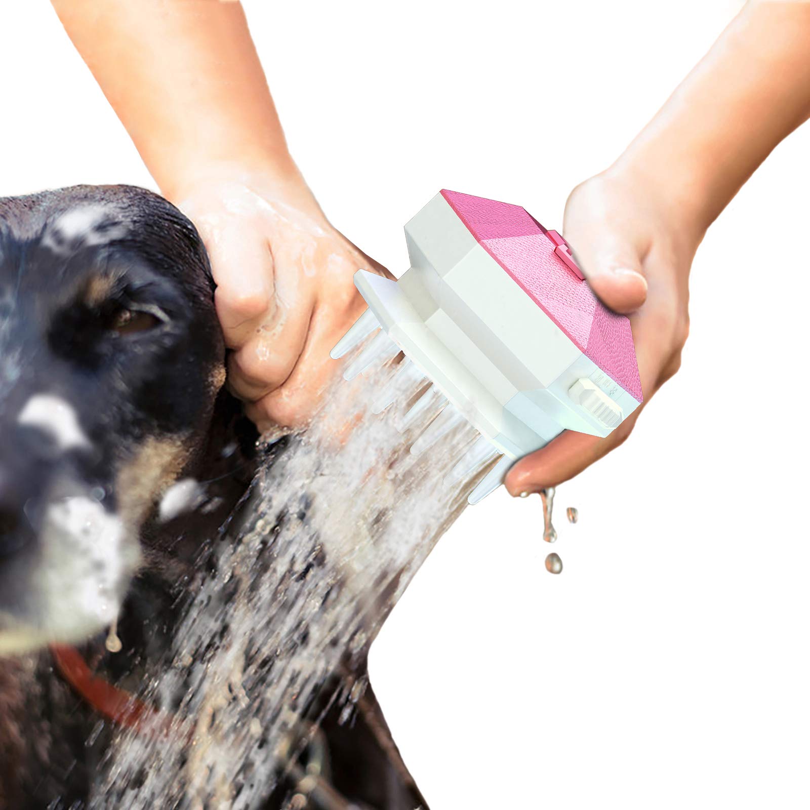 What Can Be Used To Wash A Dog