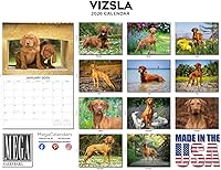 Vista 484 de Razas de Perros 2017