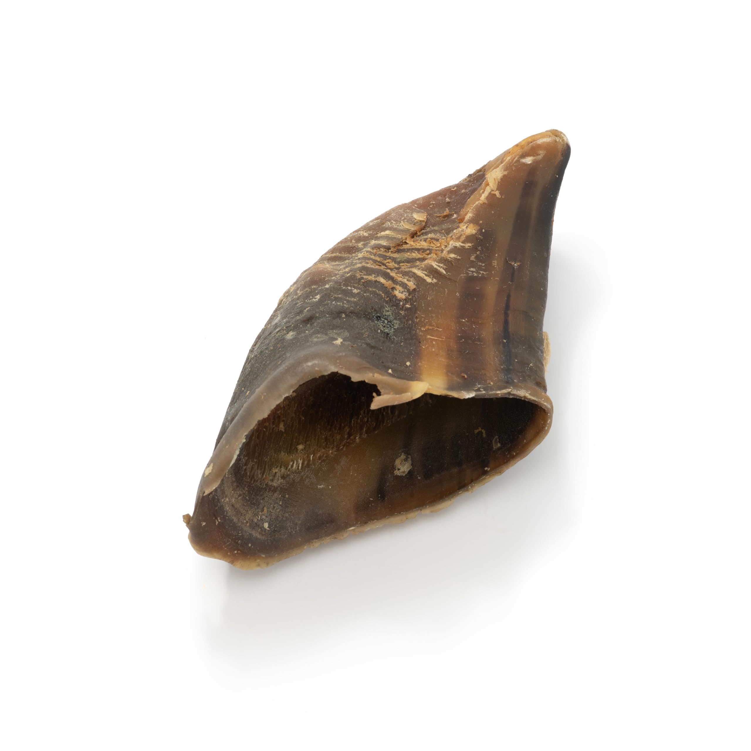 Natural Treats British Dried Hooves (Beef-30pcs) 100% Natural Long Lasting Dog Treats