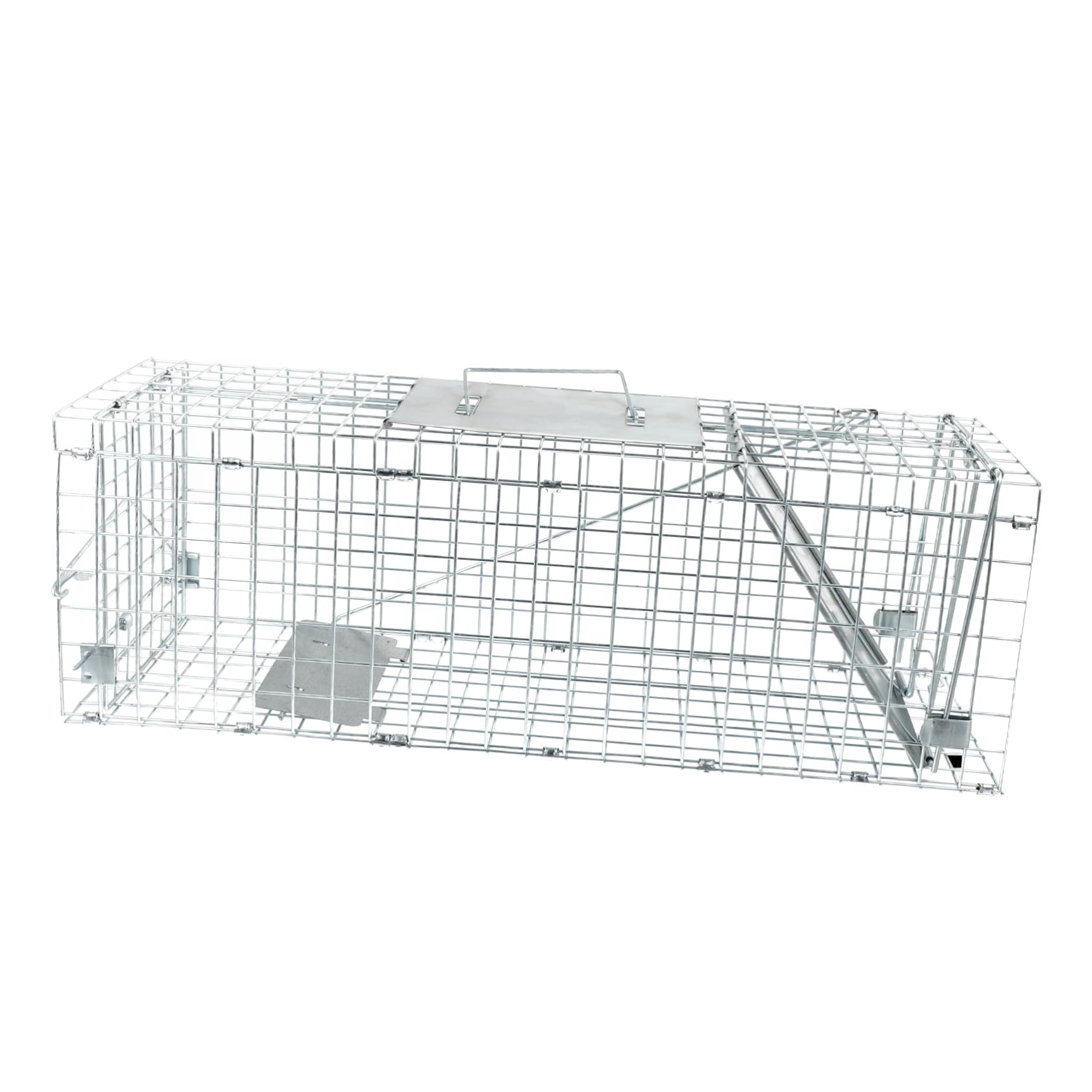 Cage de transport petits animaux vivants pour jardin et extérieur Milisten