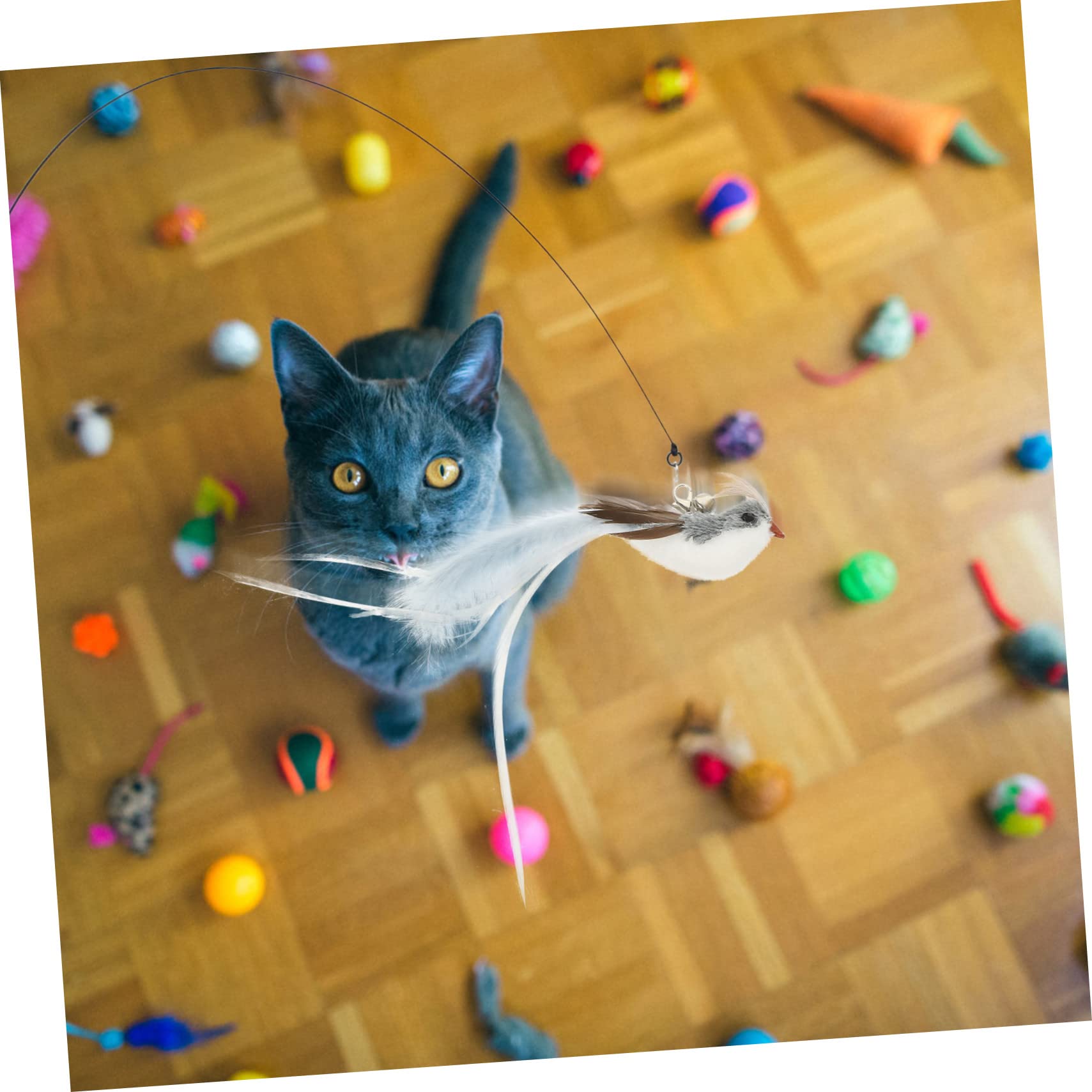 VANZACK 5sets Giochi Interattivi Per Gatti Con Piume e Testine Sostituibili Per Gatti Interni Stimola Attività Fisica e Divertimento