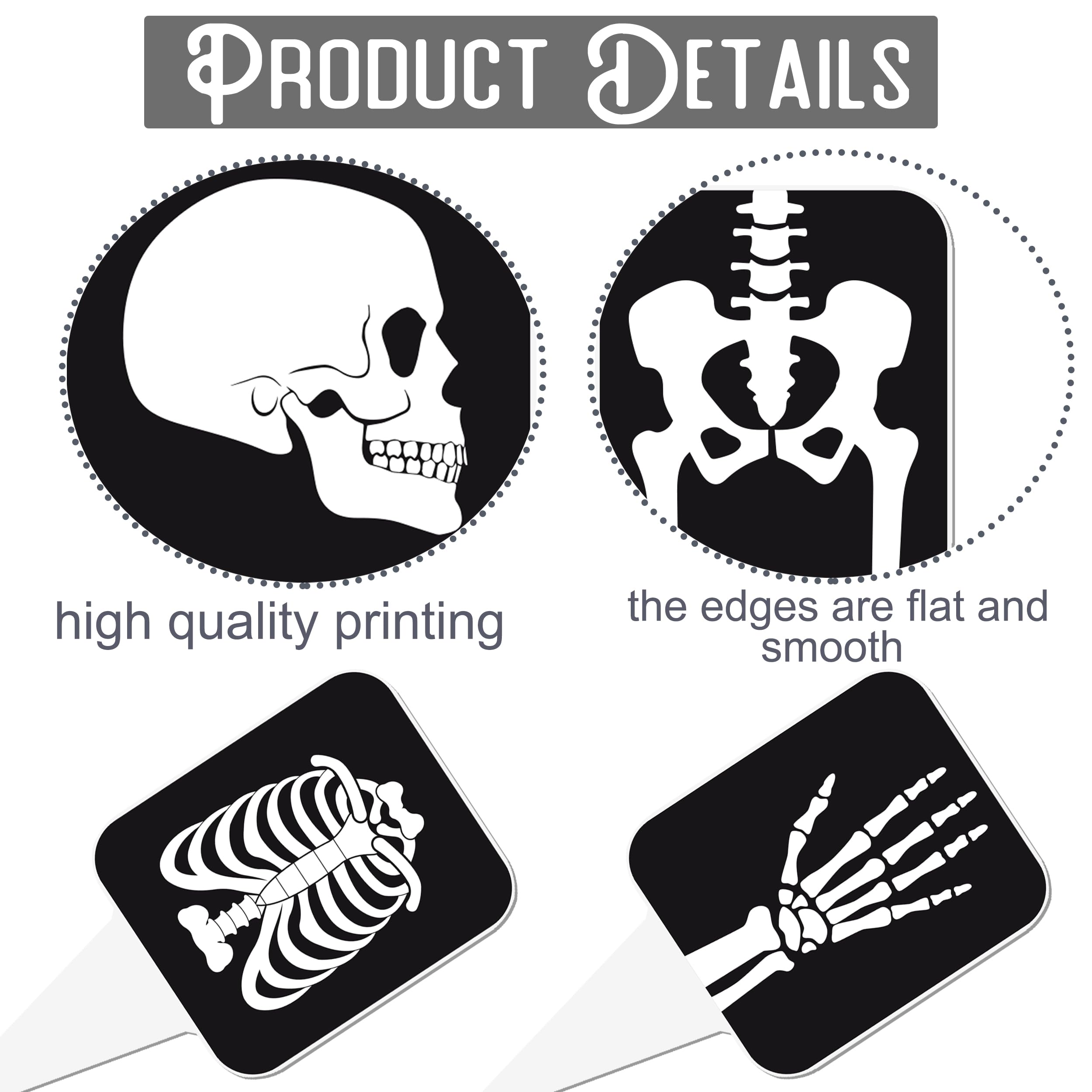 X Ray Graphic Design