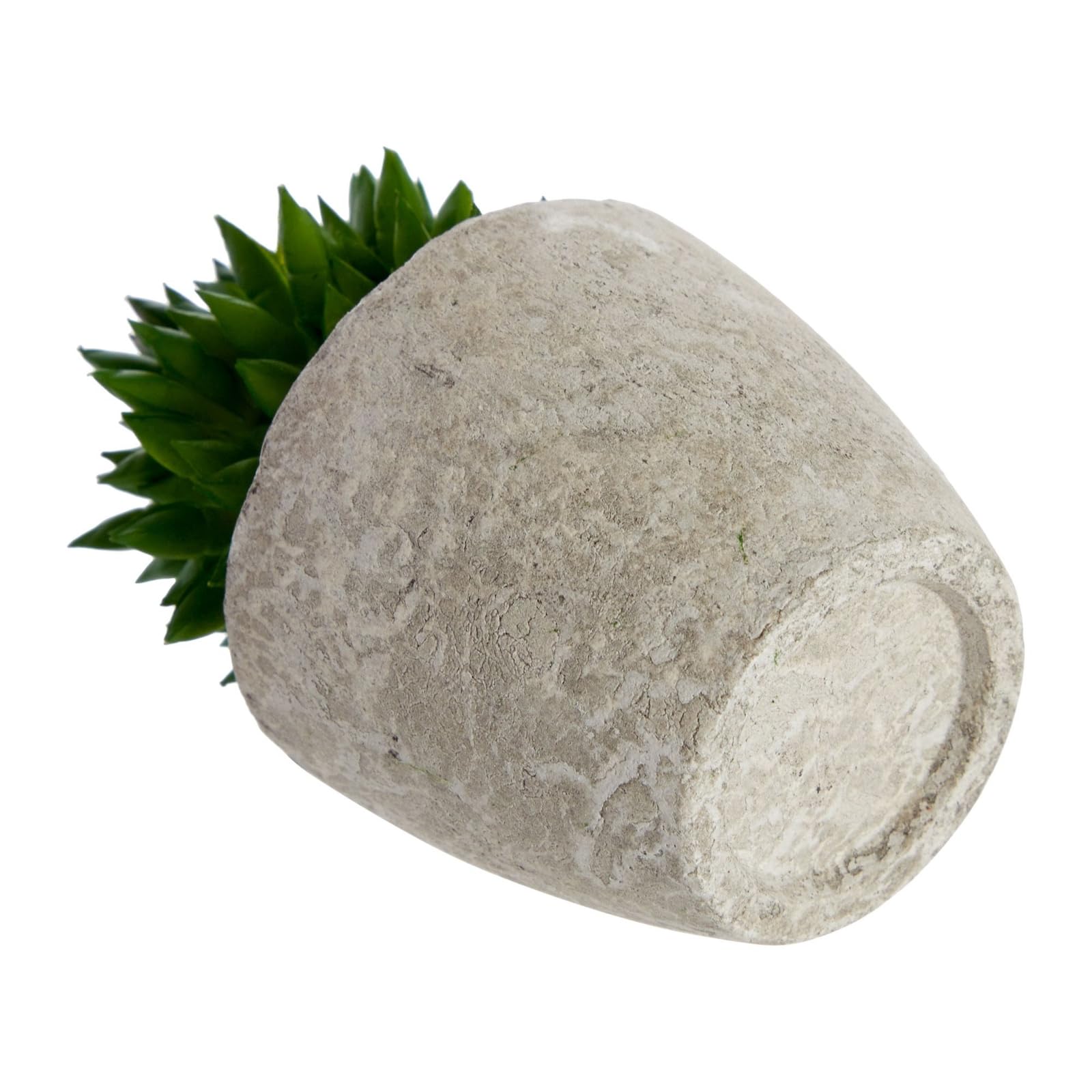 Amazon.co.jp: Juvale 屋内ミニ人工多肉植物 ポット入り - 6個パック