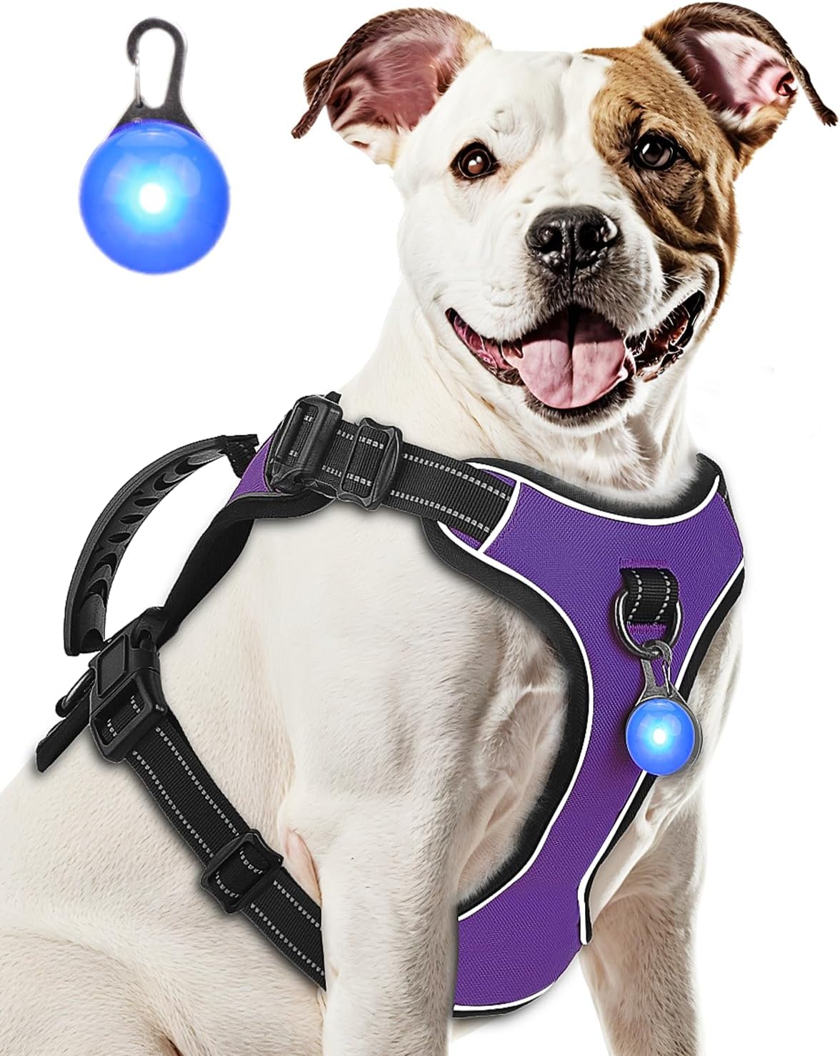 Dog Harness Purple No Pull Y Shaped for Medium Sized Dog, Small to Large Dogs Reflective Adjustable Easy Walk Puppy Harnesses,Heavy Duty Girl Boy Pet Vest 3 Buckle with Handle & Light,M