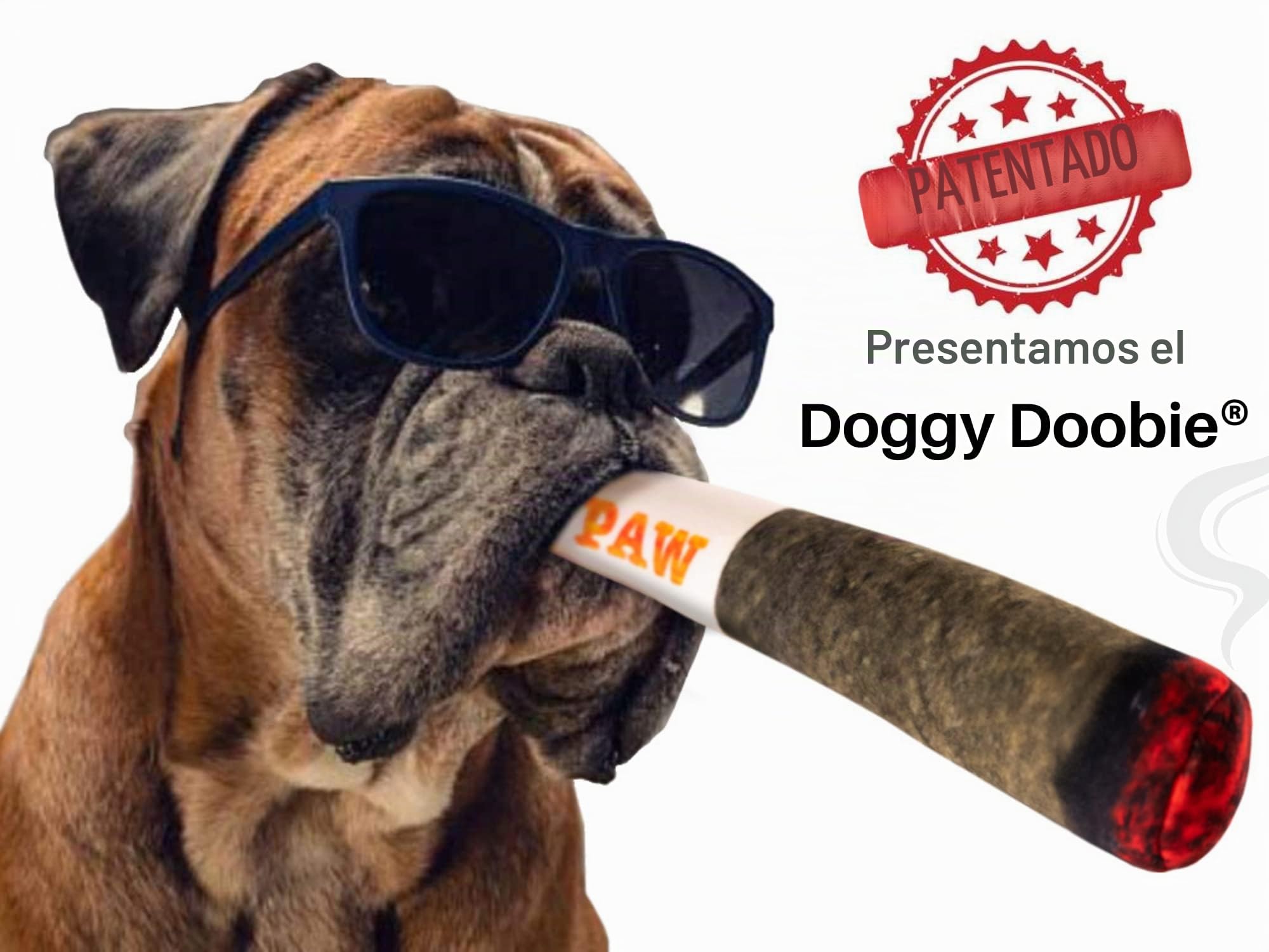 Nestpark Doggy Doobie - Juguetes divertidos para perros - Juguetes chirriantes de peluche para tamaño mediano, pequeño y grande - Regalos lindos de peluche para cumpleaños de perro