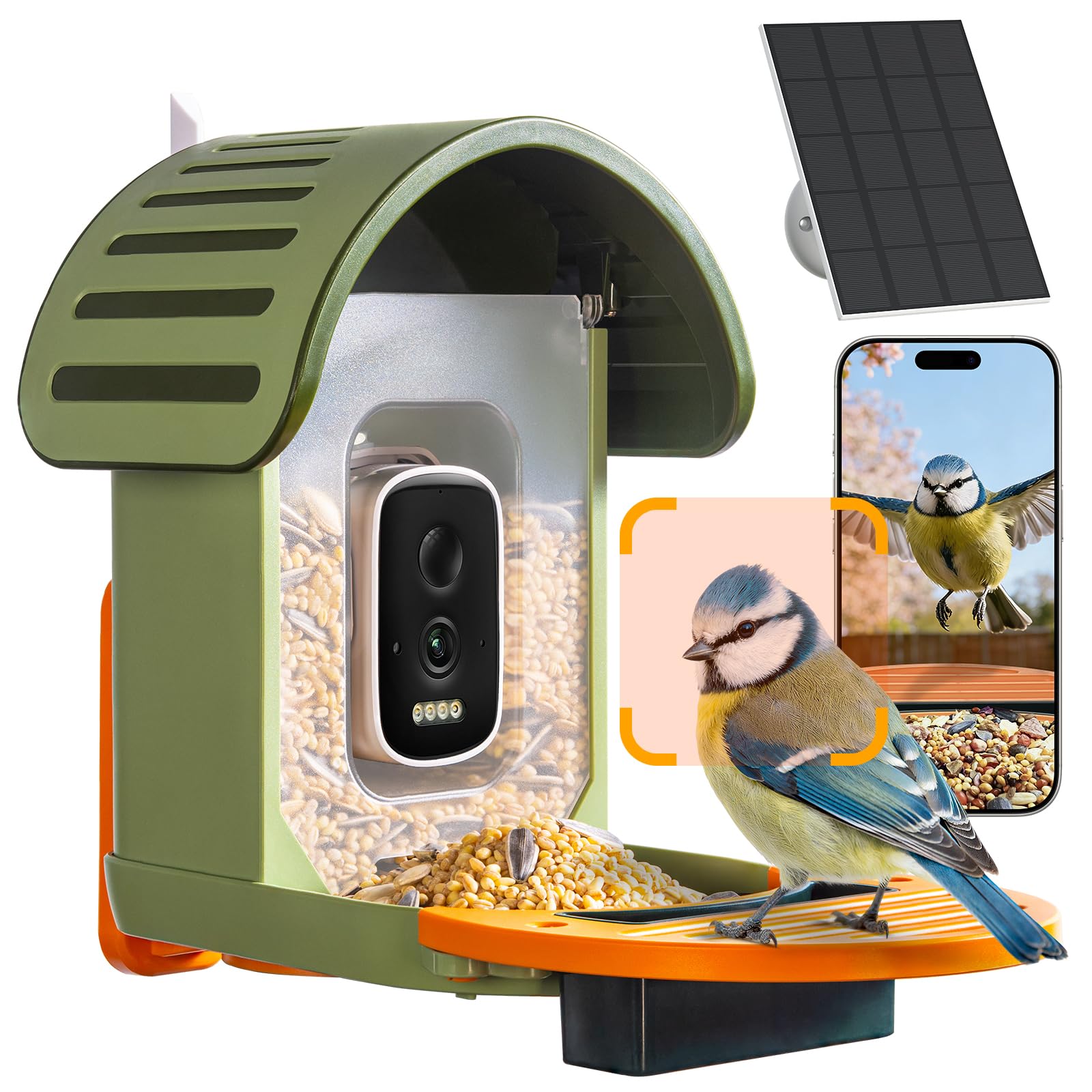 Vogelhaus mit Kamera, 2,5K UHD, solarbetrieben, präzise KI-Erkennung, sofortige Benachrichtigungen, wasserdicht nach IP66 für den Außenbereich, grün