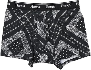 Hanes 下着 抗菌防臭 スクリプトロゴプリント Hanes originals ボクサーブリーフ アンダーウェアメンズHM6EB202メンズ
