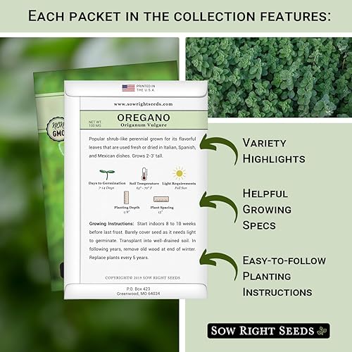Miniatura 2 de Sow Right Seeds - Semillas de hierbas hidropónicas para plantar - Semillas de albahaca, tomillo, cilantro, perejil y orégano para plantar y cultivar