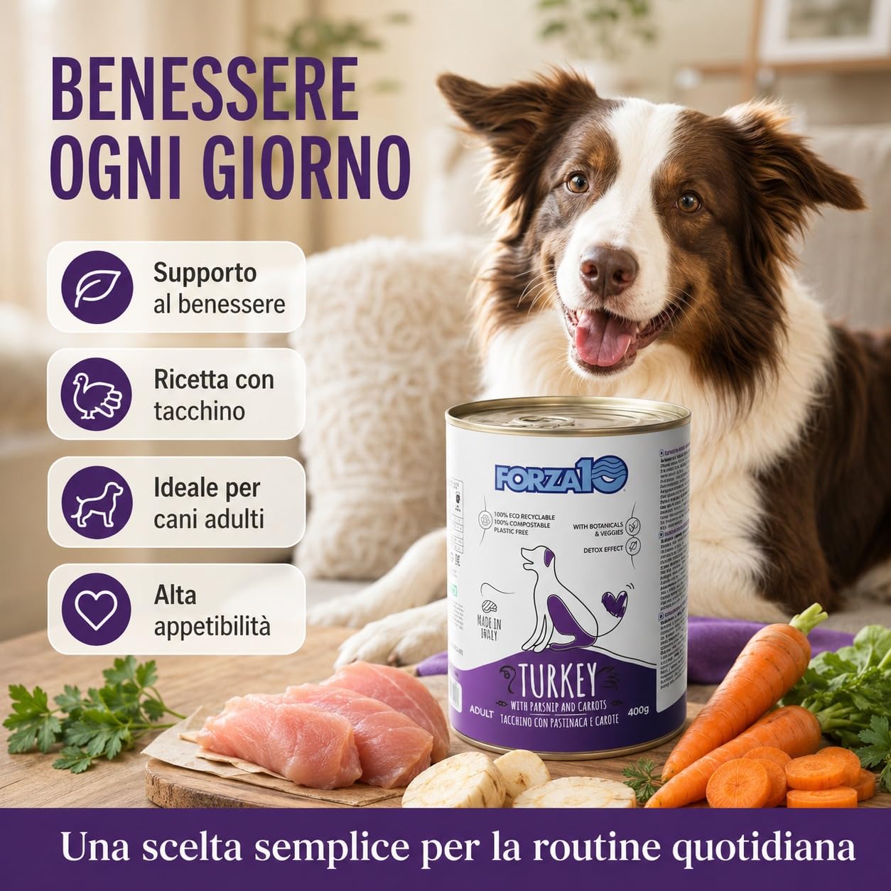 Tacchino,Pastinaca e Carote– Forza10 Cibo Umido per Cani Adulti di tutte le Taglie e Razze, Monoproteico, 12 Lattine x 400g, Alimento Completo Ricco in Carne.