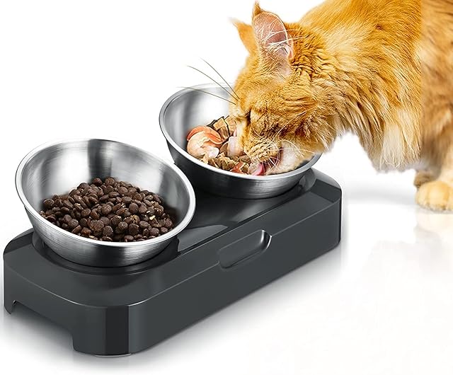 PewinGo Cat Bowl with Stainless Steel, Non-Slip Silicone Mat Cat Feeder with 0 &15° Tilting Neck Protective Bowl for Pets, Cats and Puppies Food and Water Feeding