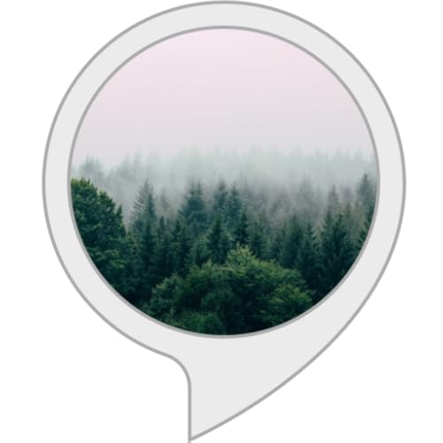 Sleep Sounds of Rain