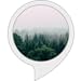 Sleep Sounds of Rain