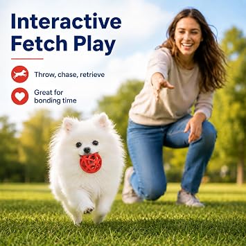 Hollow Bite Resistant Teeth Grinding Interactive Rubber Pet Chewing Ball Toy, Interactive Dog Toy Roller Rubber Dog Balls for Aggressive Chewers, Large Medium Breed Indoor Outdoor (13x8cm)