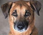 Review Image by eagseags eagseags