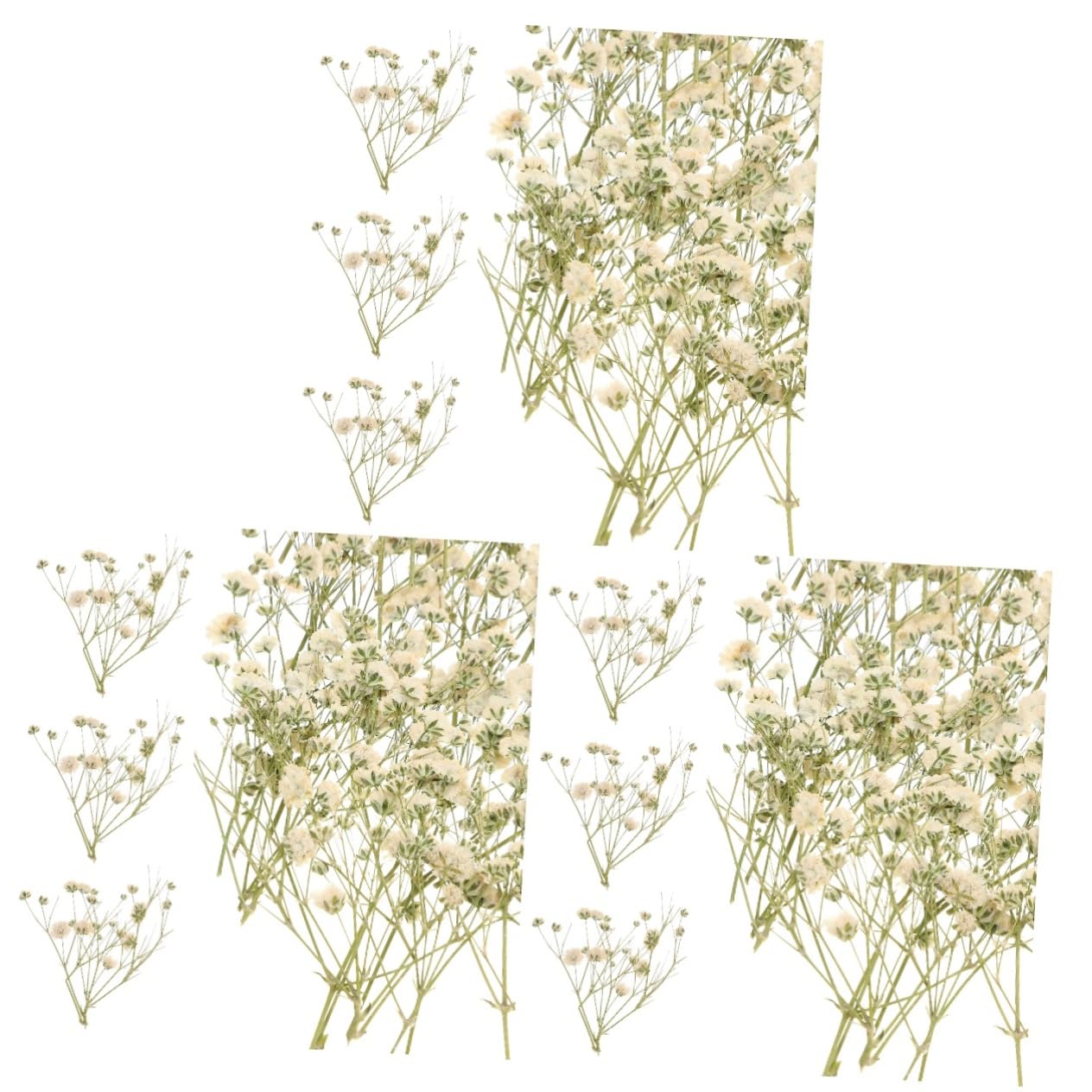 Cabilock 3 Pièces 1 Souffle en Banquet Séché Fleurs Naturelles Fleurs Séchées Éternelles Vases De Mariage Décor Fleurs Séchées Pressées Arrangement Floral Bricolage Matériel Ciel