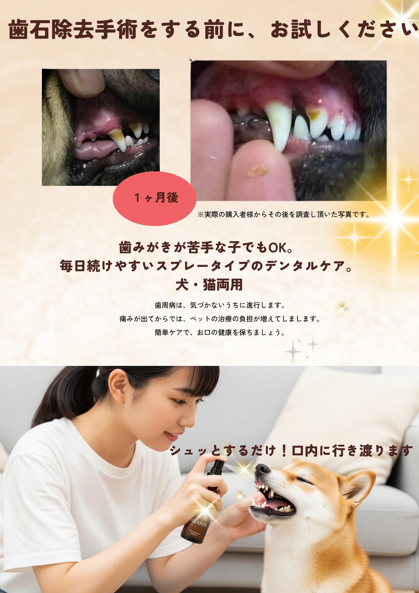 himesan 様REDENTA 犬猫用歯石ケアスプレー5本セット himesan 様REDENTA 犬猫用歯石ケアスプレー5本セット Amazon