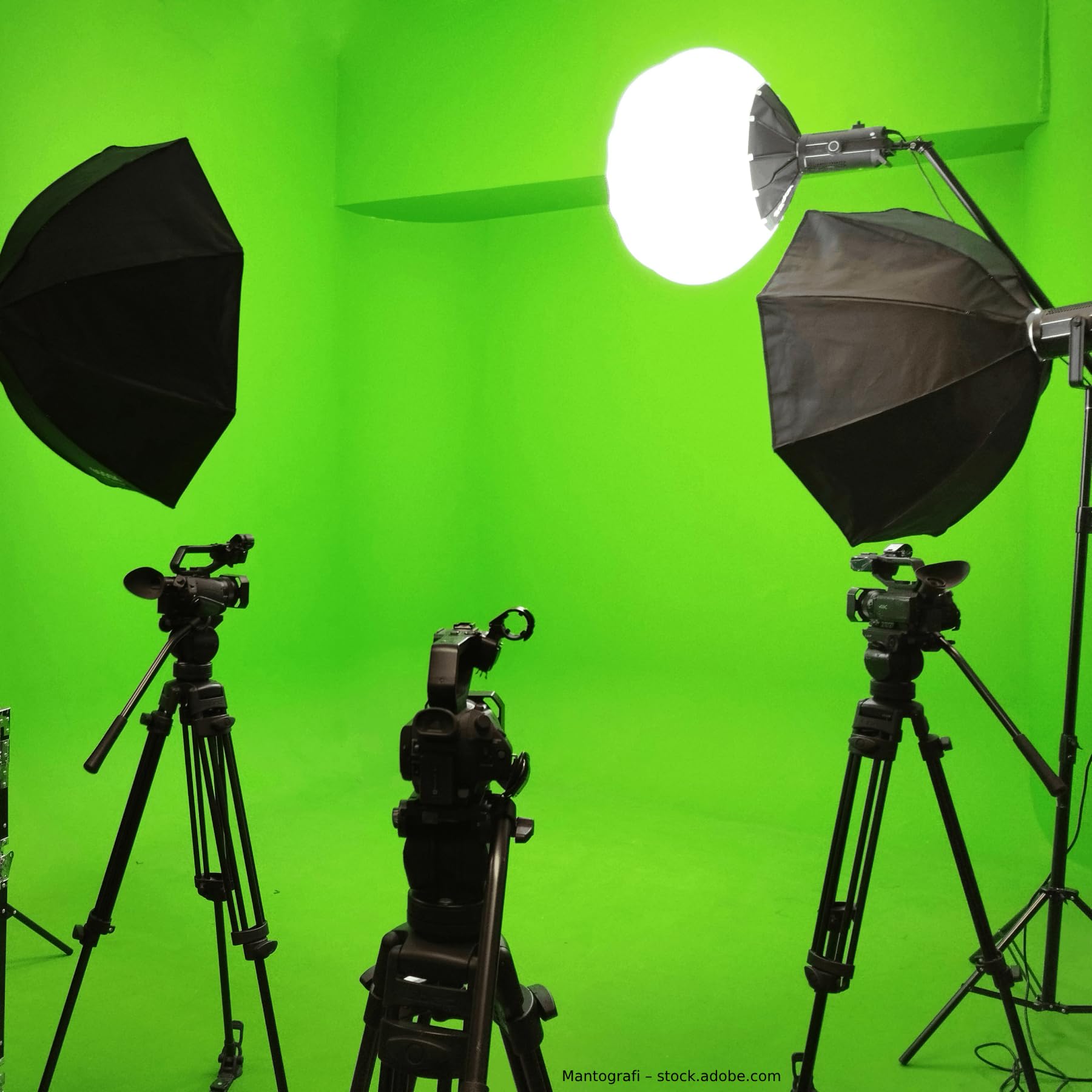 WALLCOVER Peinture murale de qualité supérieure Vert, Chroma Key, Greenscreen | 5L = 40m² | Streamers Professionnels Studio Photo Arrière-Plan de Studio TV Fond de Photo