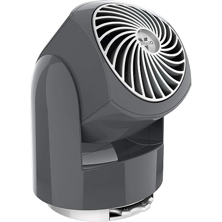Amazon.com: Vornado Flippi V6 Personal 