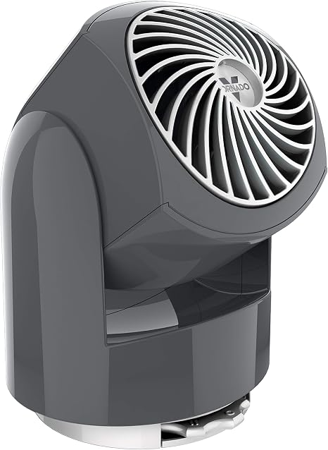 Amazon.com: Vornado Flippi V6 Personal 