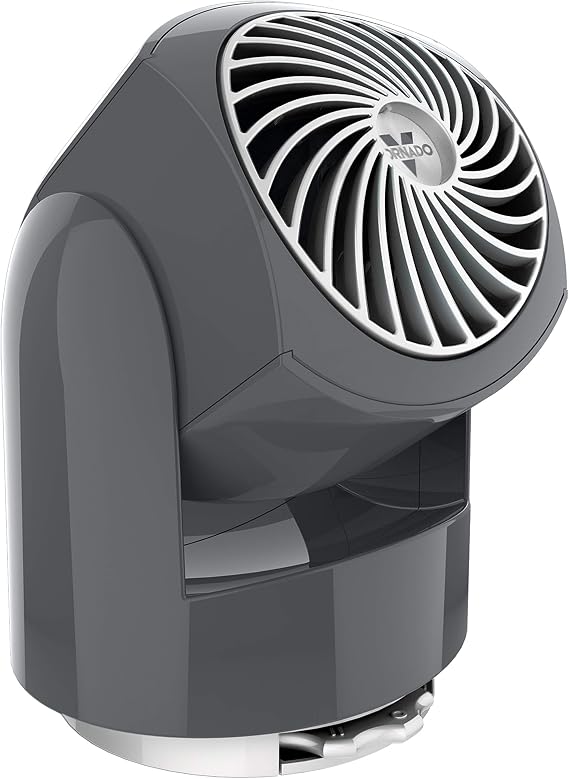 Amazon.com: Vornado Flippi V6 Personal 