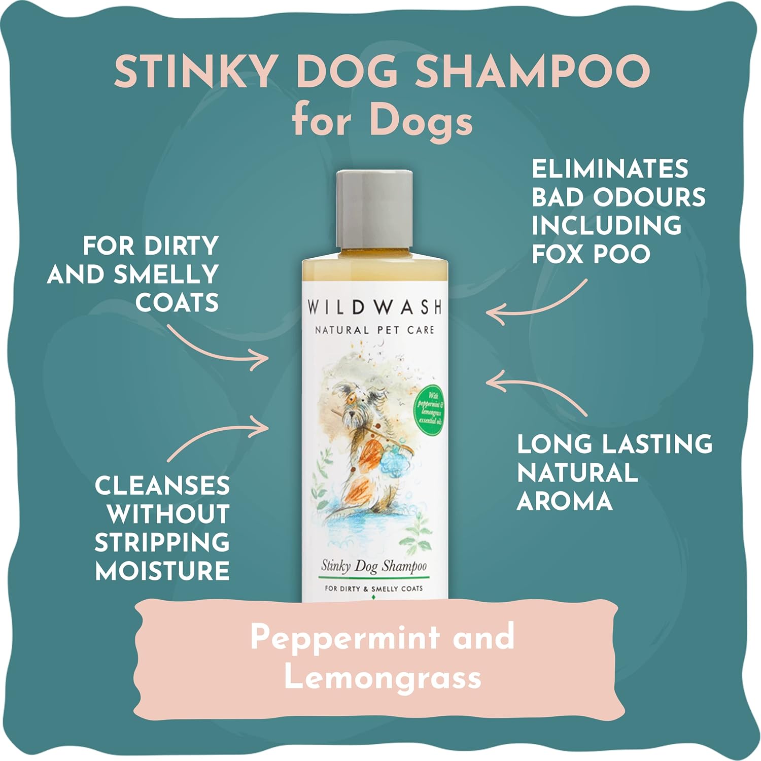 WildWash Stinky Dog Shampoo 250ml - Lemongrass and Peppermint Remove Even the Worst Odours, Even Fox Poo, Leaves the Coat with Incredible Shine - Natural, Sulphate and Paraben-Free for Sensitive Skin 8 71QcApswJFL. AC SL1500