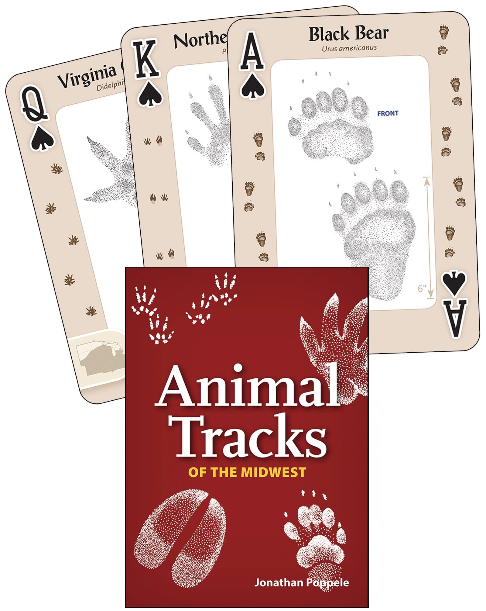 Animal Tracks of the Midwest Playing Cards (Nature's Wild Cards)