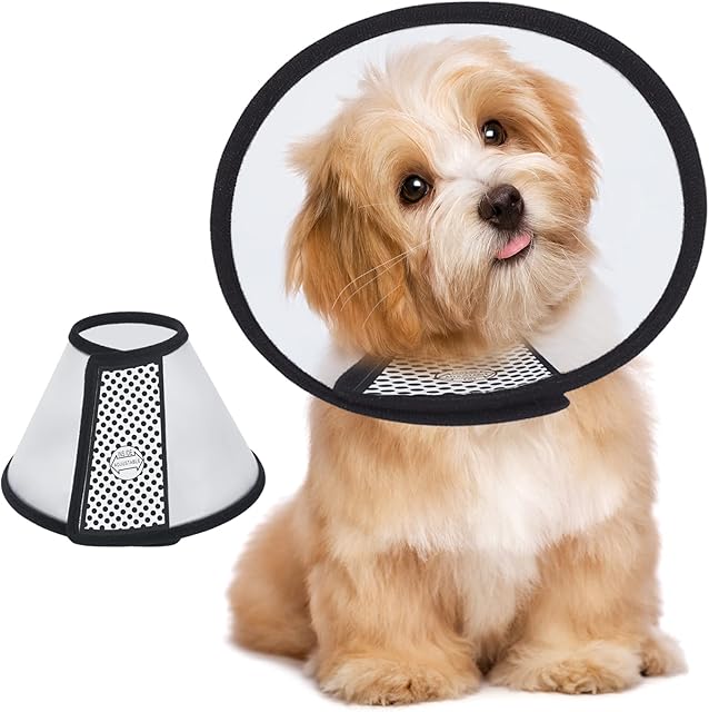 Vivifying Dog Cone Collar, 9.0-10.6 Inches Lightweight Plastic Elizabethan Collar Soft Medical Surgery Recovery Collar for Small Dog and Large Cat (Black-L)
