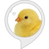  Piep Piep Hühnergeräusche