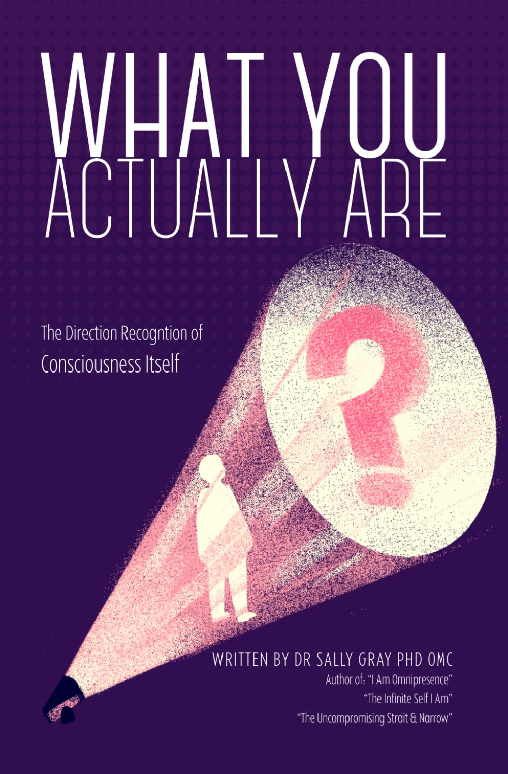 What You Actually Are: The Direct Recognition of Consciousness Itself