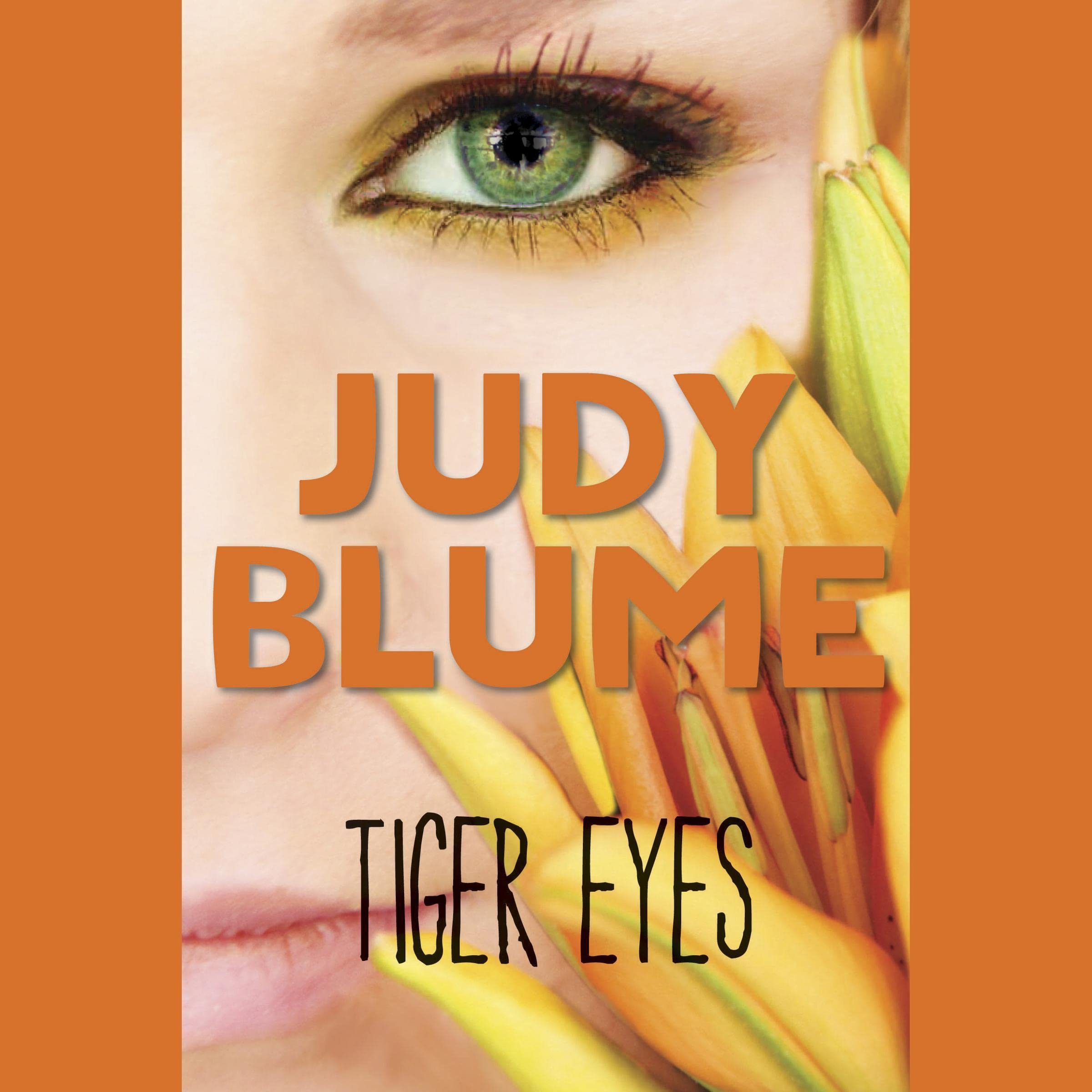 Cover art for Tiger Eyes