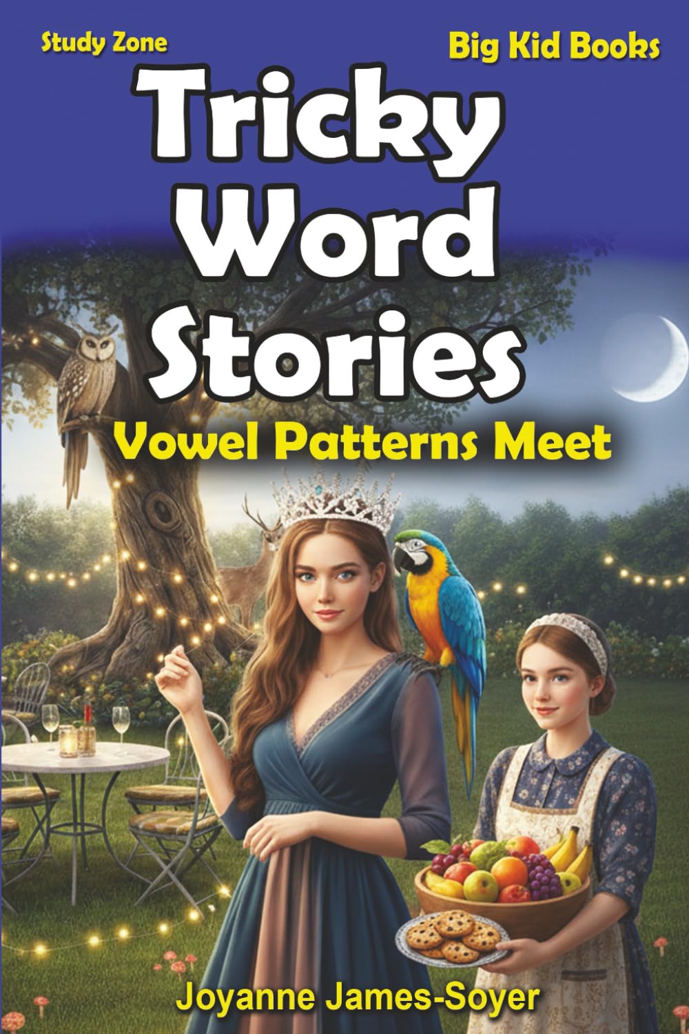 Tricky Word Stories: Vowel Patterns Meet: 1 (Study Zone Big Kid Books)