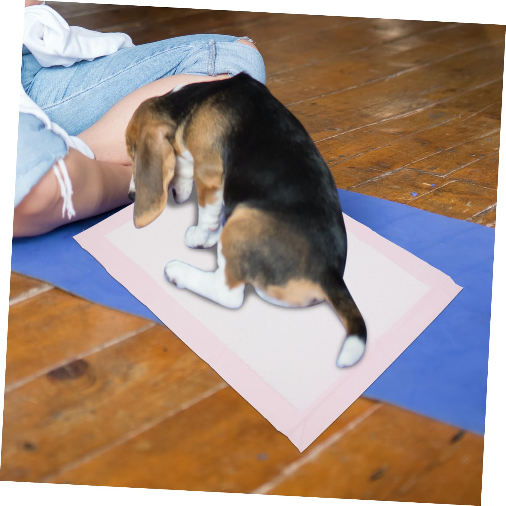 100piezas Alfombrillas Desechables para Mascotas Impermeables y Absorbentes Almohadillas De Entrenamiento para Conejos y Pequeños Animales Accesorios Prácticos para Higiene Casa