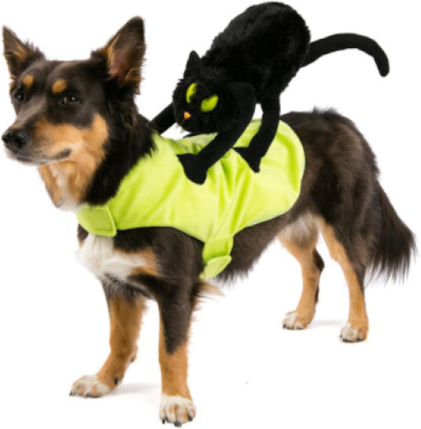 Top Paw Pet Halloween Black Cat Rider Dog Costume Size Small / Medium