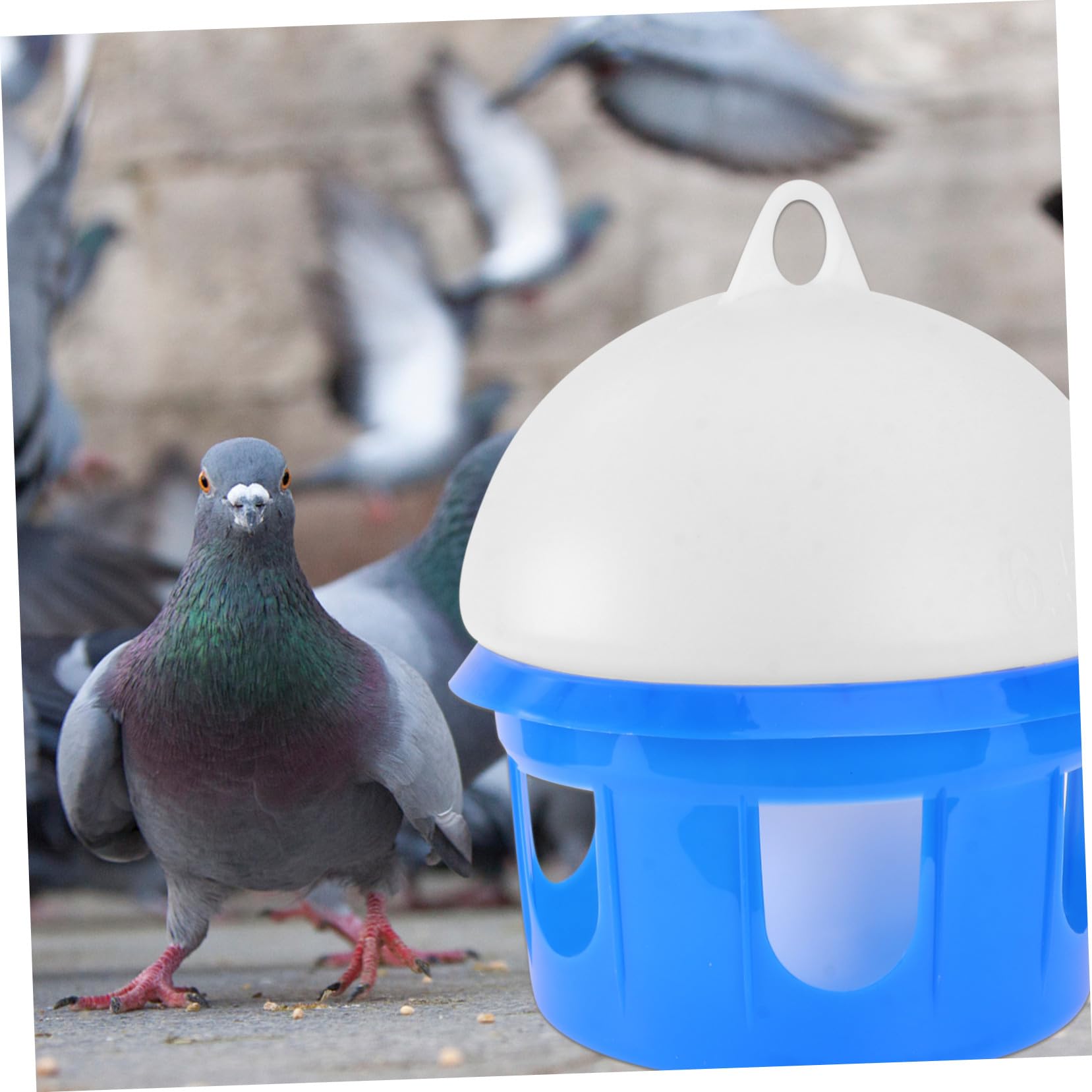 ERINGOGO Automatische Vogeltränke mit 6,5l Fassungsvermögen aus Kunststoff