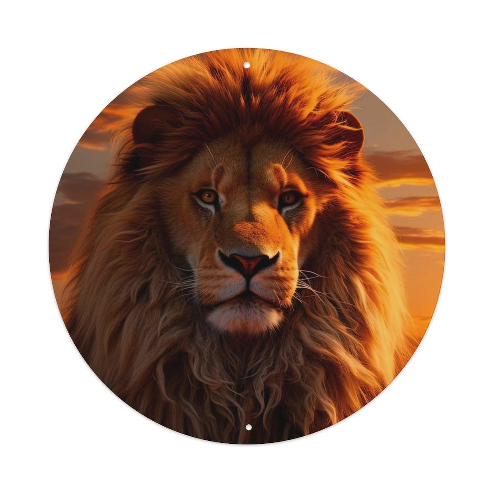 Animal North African Lion at Sunset Metal Tin Sign