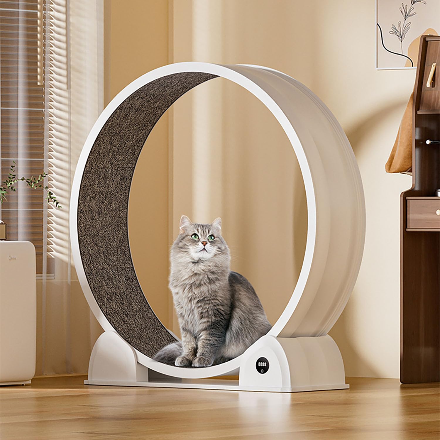 Cinta de correr inteligente ABS para gatos, rueda silenciosa con pantalla digital para fitness de mascotas en interiores (funcionamiento silencioso de 35 dB)