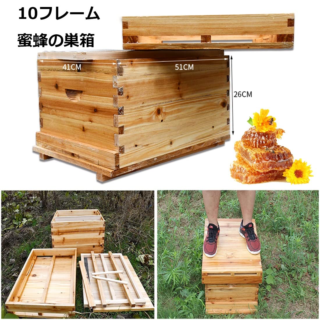 Amazon.co.jp: 巣箱 蜂ハイブ ミツバチ 巣箱 標準10枠 蜜蜂の巣箱 