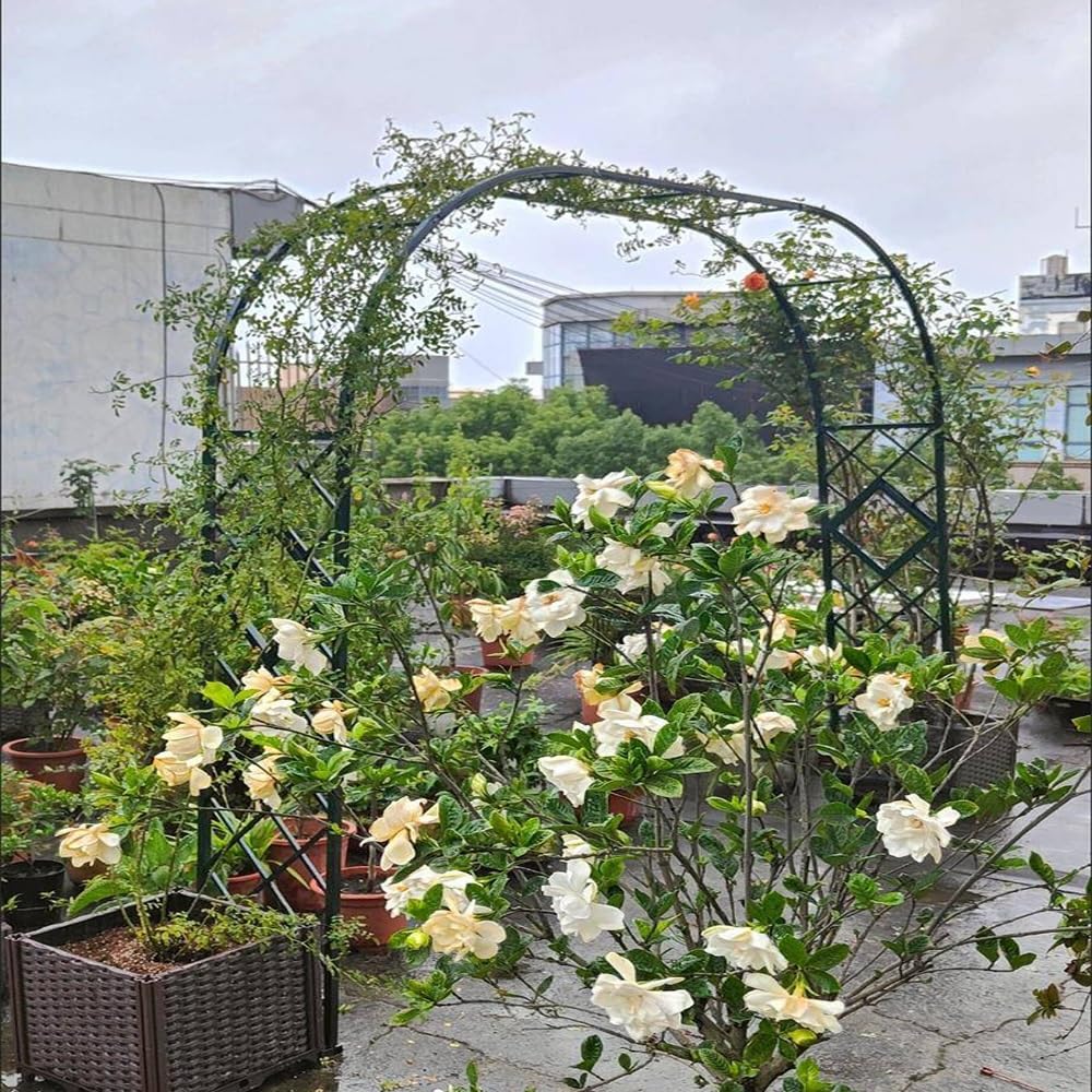 Arco da giardino in stile francese in metallo, traliccio in acciaio, supporto per arco nuziale con larghezza regolabile (140 340 cm) e altezza 230 cm, elegante arco per decorazioni ed eventi
