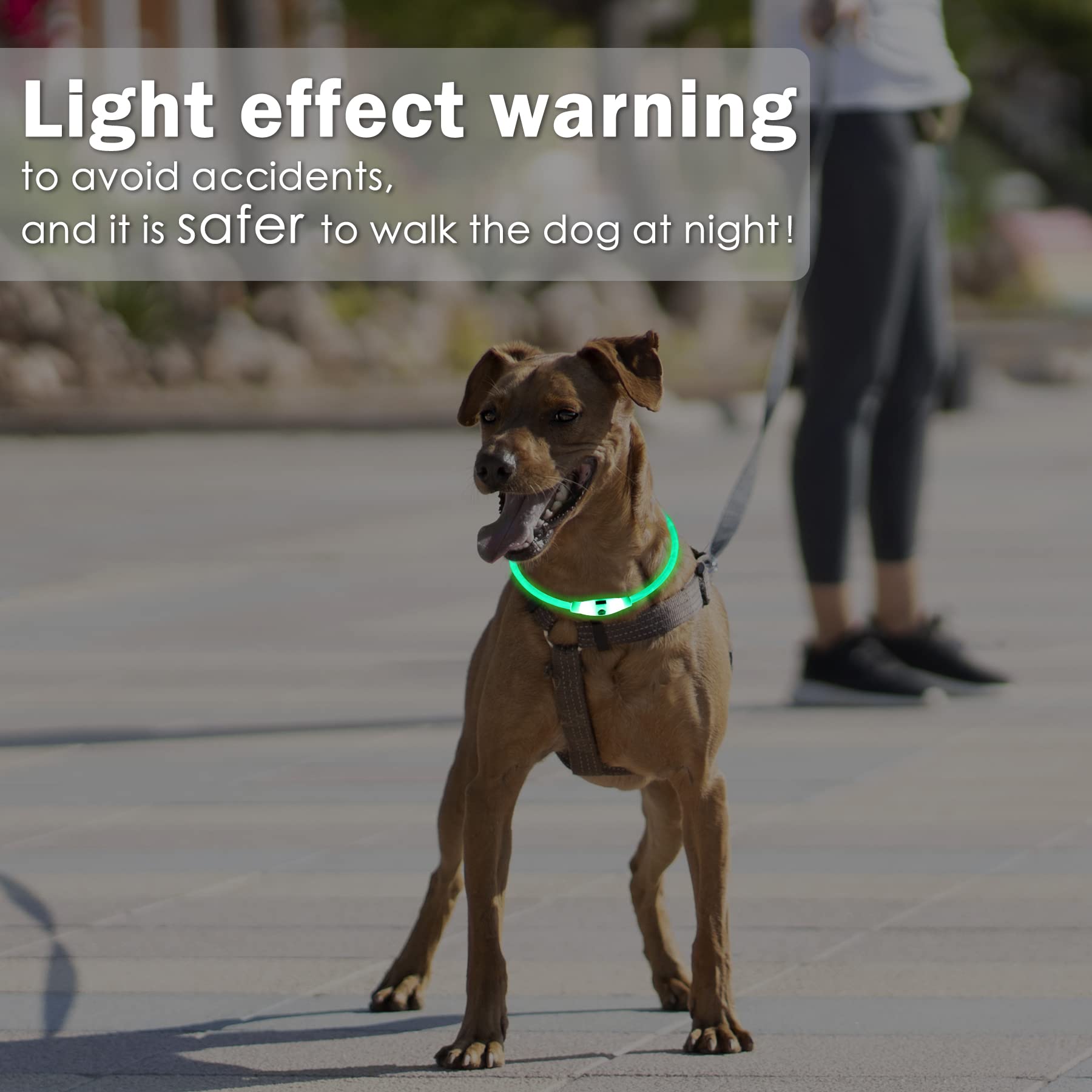 Coolzon Collare Luminoso per Cani 3 Colori Cambiano, USB Ricaricabile Impermeabile, Tagliabile LED Regolabile Adatto per Cani Gatti Taglia Piccola Media Grande