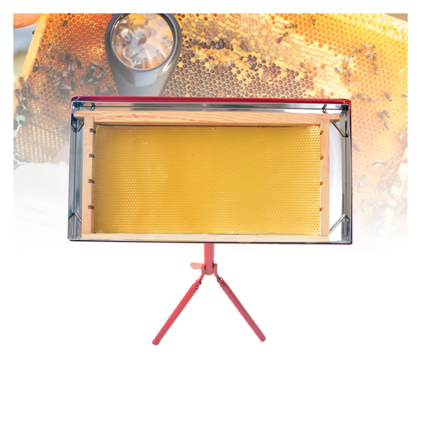 Apicoltura Strumento for innesto Stazione for innesto Tavolo operatorio Attrezzatura for Allevamento api Regine Forniture for trasferimento Larve Apicoltura per Gli Appassionati di Apicoltura