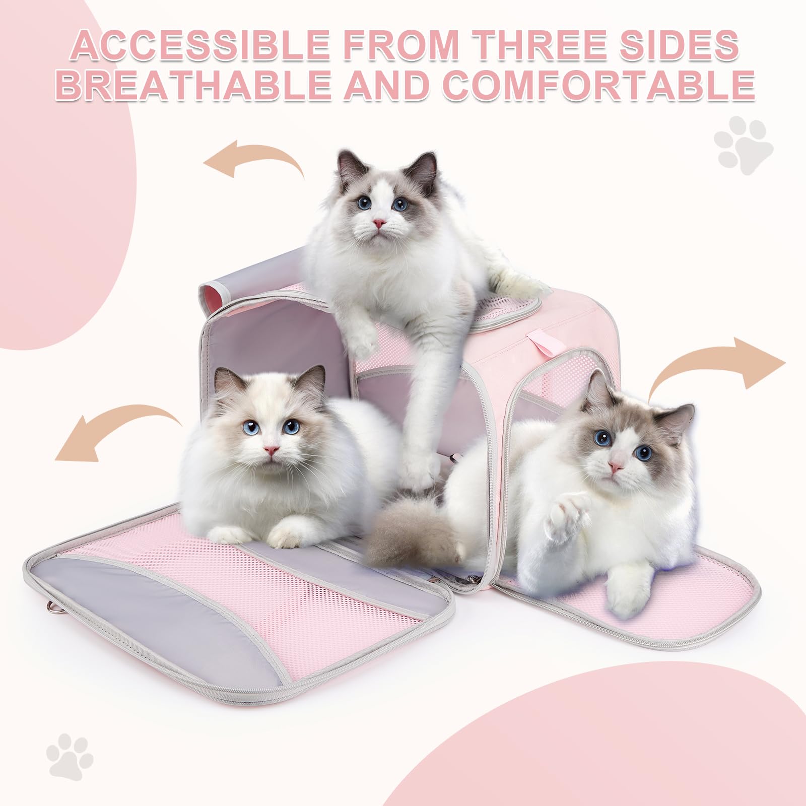 Transportador para gatos, bolsa portátil para mascotas, aprobado por aerolíneas, máximo 15 libras, transportador de gatos de lados suaves con diseño de marco exterior sólido, cuenco plegable,