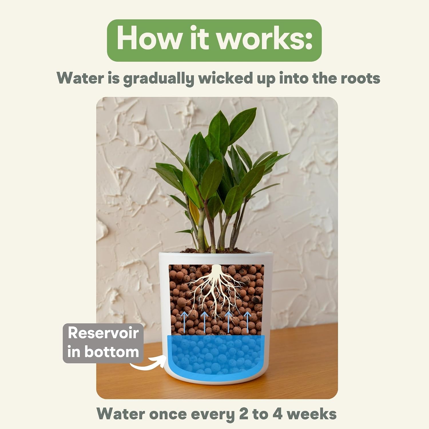 Self Watering Pot for Leca and Pon, Semi Hydroponic Planter for Indoor Plants, Clear Inner Pot & Water Level Indicator (Grey (4-Pack), 4 inch)