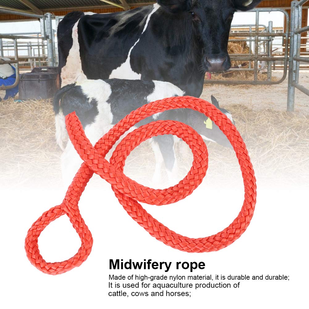 AGGIORNA LE TUE Apparecchiature Di Pulizia Con Un Adattatore Accessorio Aspirapo EUR 9,38 - 2