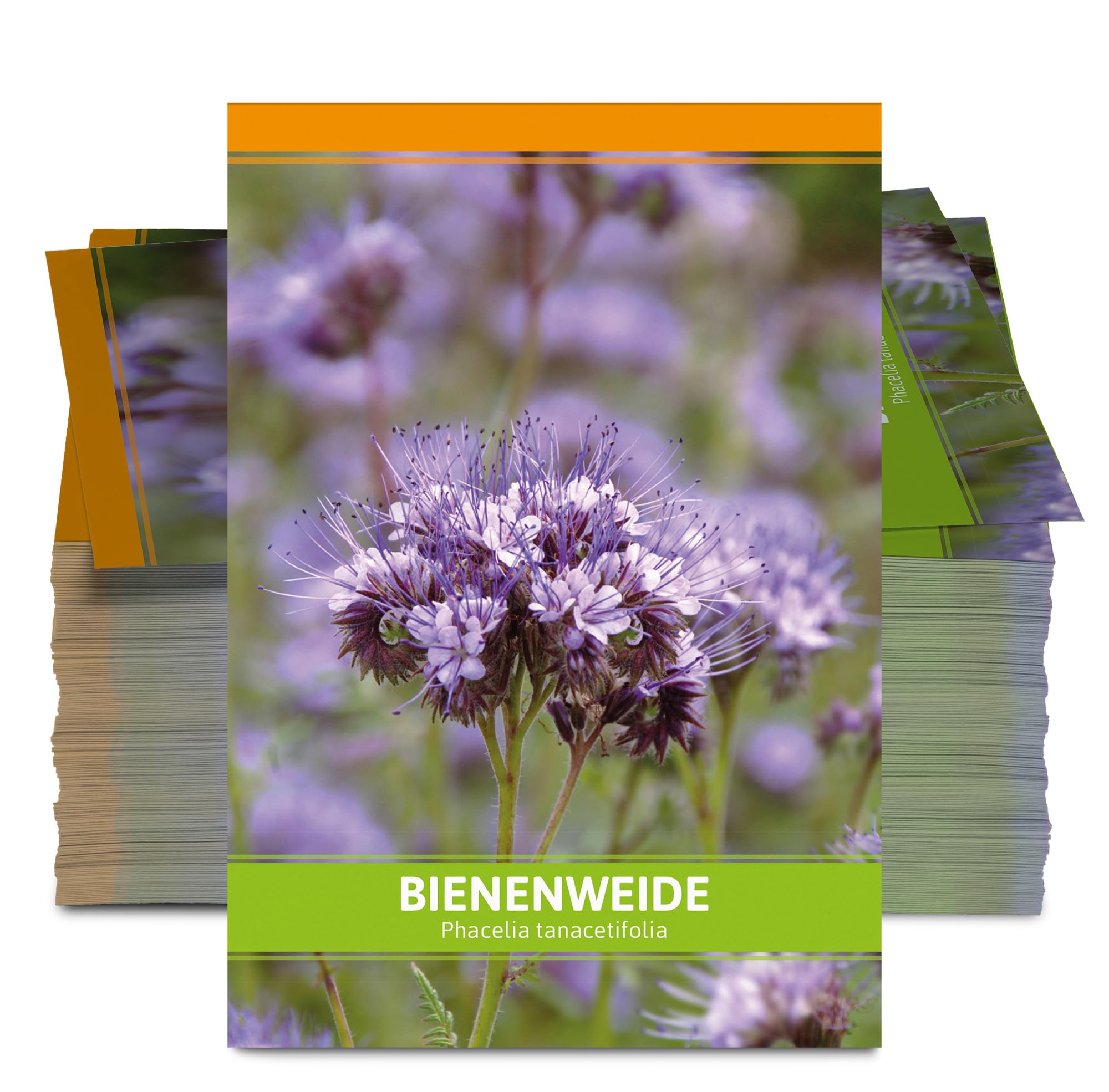 FLORTUS Bienenweide für Gastgeschenke (100 Stück) | Phacelia Blumensamen für Bienen & Insekten als Dankeschön Geschenke & Werbegeschenke