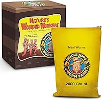 Vista 12 de Uncle Jim's Worm Farm 250 gusanos de harina para reptiles y pollos Gusanos de harina para alimentar lagartos, gecko, dragones barbudos, pollos