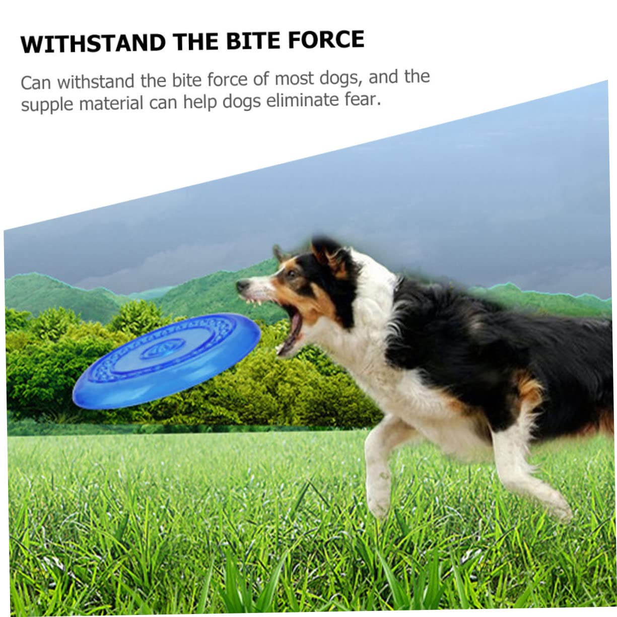 2 Stück-Pack Blaue Wurfscheibe für Hunde und Welpen aus TPR | Waschbar und Weich, für Apportierspiel und Training Draußen, Fliegende Form, für Haustiere