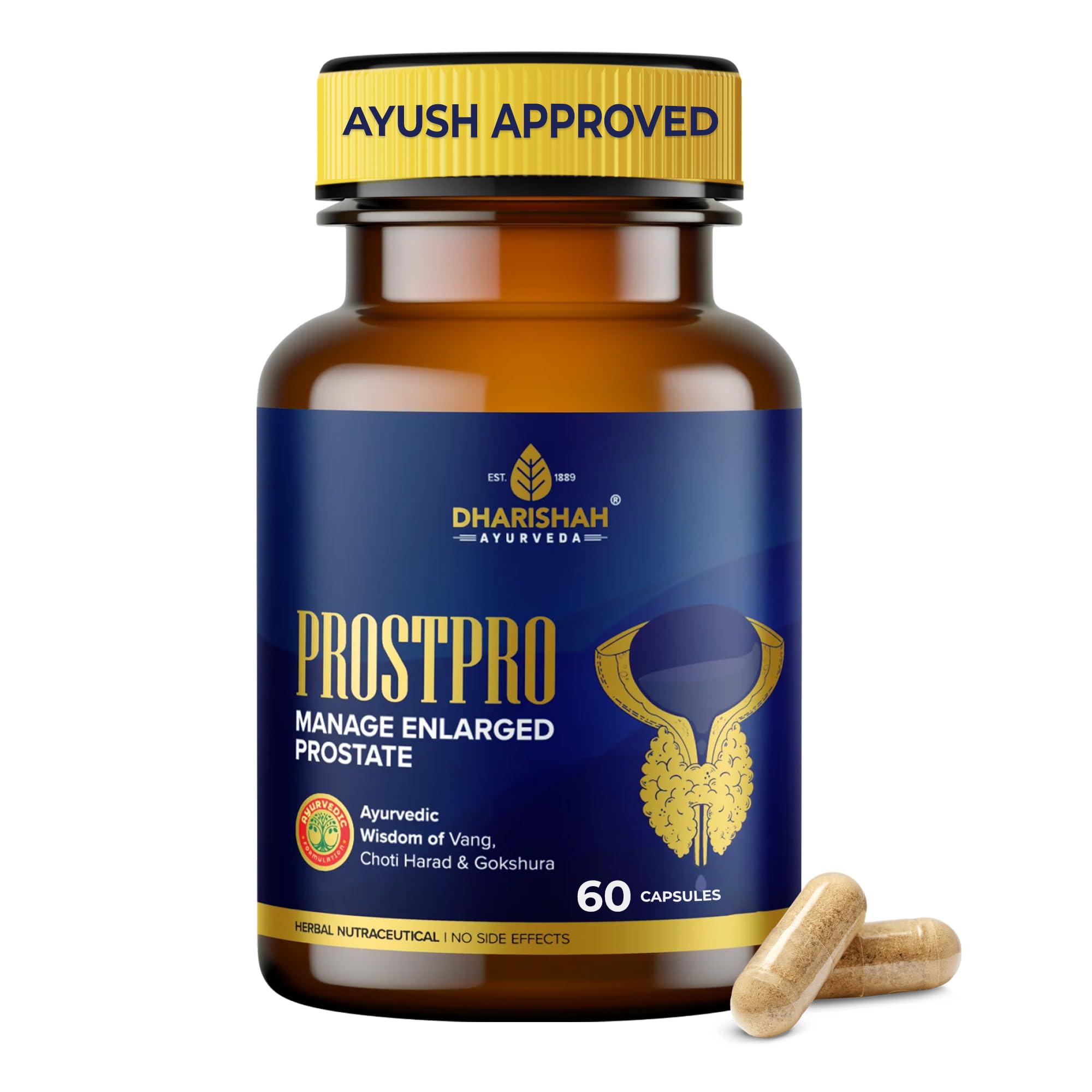 Dharishah Ayurveda ProstPro Capsules – Ayurvedic Prostate Care Capsules for Men | Prostate & Urinary Tract Health Support, Bladder Care & Male Wellness Supplement | Herbal Prostate Wellness – 60 Capsules-picture-27