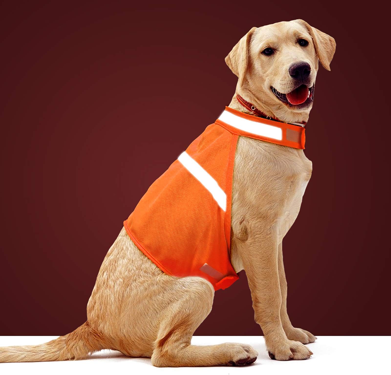 VizbriteDog Reflective Vest High Visibility Adjustable Strap Safety Jacket Keep Your Dog be Seen and Safe from Cars & Hunting Accidents Large Orange